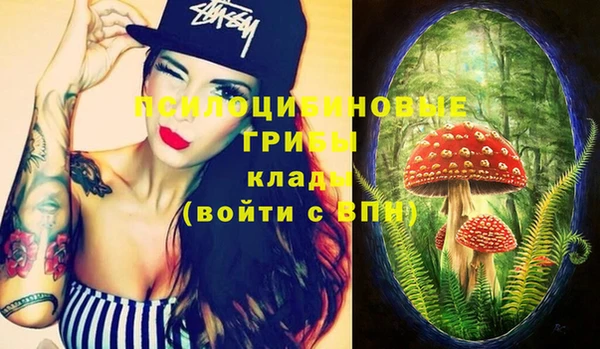 дурь Лиски