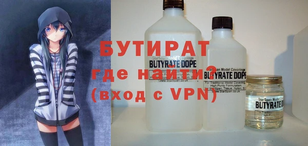 шишки Гусиноозёрск