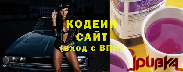 гашик Липки
