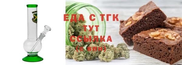 шишки Гусиноозёрск