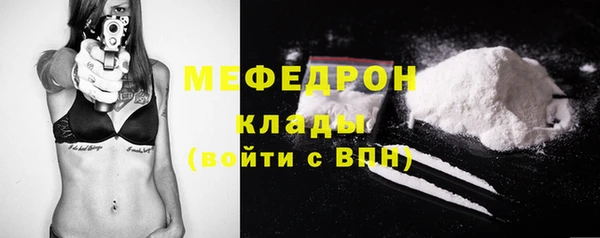 шишки Гусиноозёрск