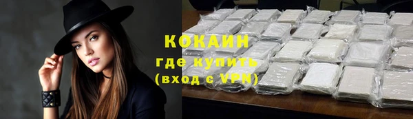 a pvp Гусев