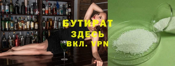 шишки Гусиноозёрск